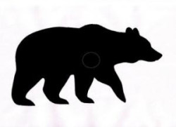 Ampumakokeen karhukuvio/Björntavla till skjutprovet